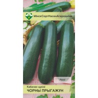 Семена Кабачки Черный красавец 2 гр. фото в Строймикс