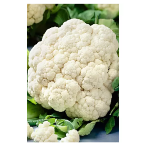 Семена Капуста цветная Сноуболл 0,3 гр. фото из интернет-магазина Строймикс