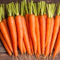 Семена Морковь длинная красная 1 гр. фото в Строймикс