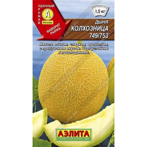 Дыня Колхозница 1г фото из интернет-магазина Строймикс