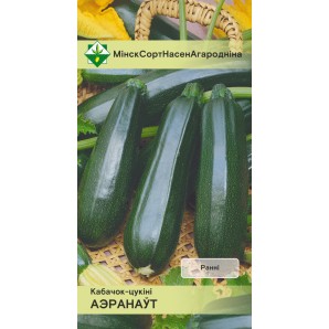 Семена Кабачки Аэронавт 2 г фото из интернет-магазина Строймикс