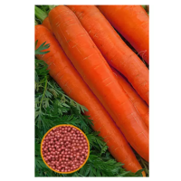 Семена Морковь Витаминная -6 столовая 1,5г фото в Строймикс