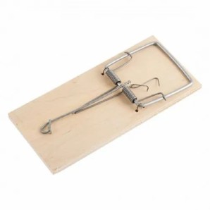 Капкан д/грызунов большой 151592 фото из интернет-магазина Строймикс