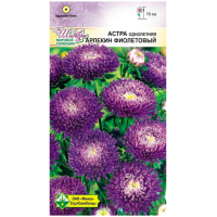 Семена Астра Арлекин фиолетовый 0,2 г фото в Строймикс