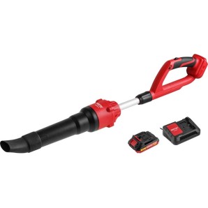 Аккум воздуходувка WORTEX BB 2018-1 D ALL1 XLT SET 18В БЕСЩЁТ 162-450 м куб/ч 72-190 км/ч фото из интернет-магазина Строймикс